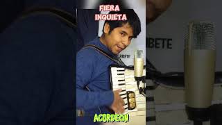 Fiera Inquieta Ángela Chadid Acordeón #Fierainquieta #Acordeon  #Musichuayotuma