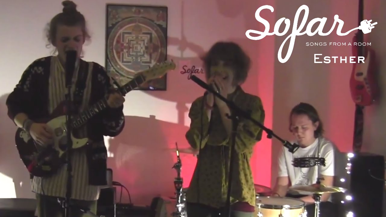 The Hummingbird Girl