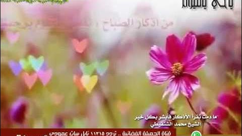 ما دمت تقرأ الأذكار فأبشر بكل خير  فضل الذكر الشيخ محمد الشنقيطي