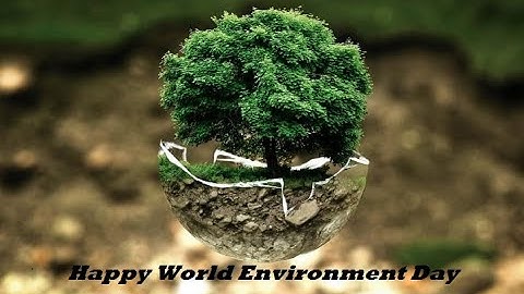 HAPPY WORLD ENVIRONMANTAL DAY 2021 | AWARNESS VIDEO | THEME - REIMAGINE RECREATE RESTORE