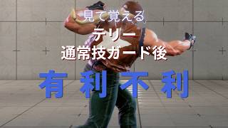 地上の通常技・特殊技をガードさせたあとの有利不利一覧｜確定反撃の対象になる -4F 以上の技だけを抜き出す