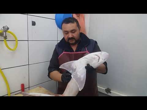 Video: Köpekbalığı Eti Nasıl Pişirilir