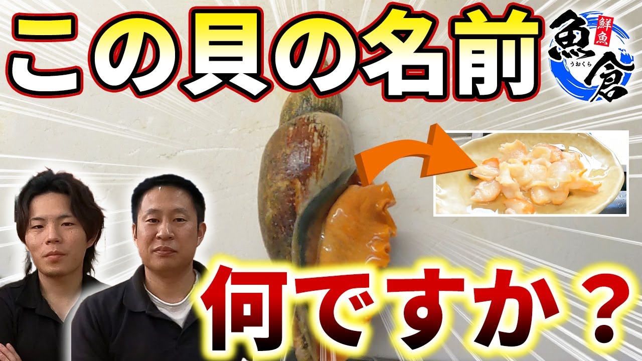 この貝何っていう貝ですか？ - YouTube