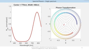 Lecture 17  Lorenzo Scipioni  The Phasor S FLIM Microscope for multiplexing microscopy
