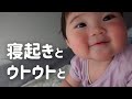 【生後275日】早朝にガサゴソ…何しているの?/朝ごはんの後はすぐウトウト…もちもちほっぺに釘付け! (Day 275. Ponu waking up early)