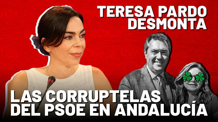 Teresa Pardo desmonta la contratacin irregular de ...