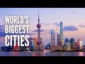 The 20 biggest cities in the world right now