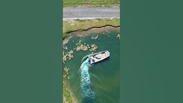 Managing a trophy pond (algae Removal) #shorts