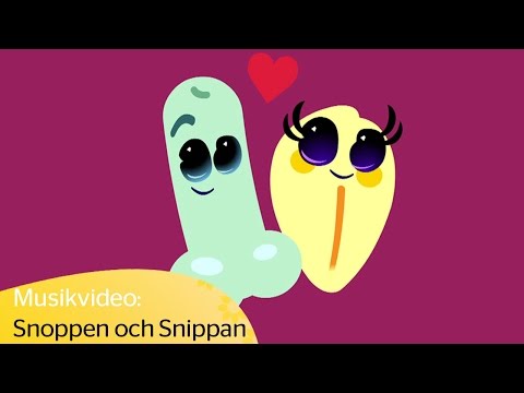 Snoppen ja snippan * musiikkivideo * - Bacillakuten hos SVT Barn