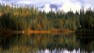 Sad Relaxing Piano Music - Detective Conan - Soundtrack 87: Osenchi Na Ayumi (HD)