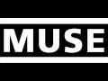 Muse  showbiz