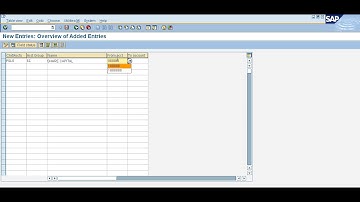 Define Account Groups in Telugu OBD4 - 07