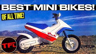 Here's The Coolest Collectable Mini Bikes From Every Decade!