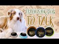 TEACH YOUR DOG TO TALK! | Teaching your dog to use buttons