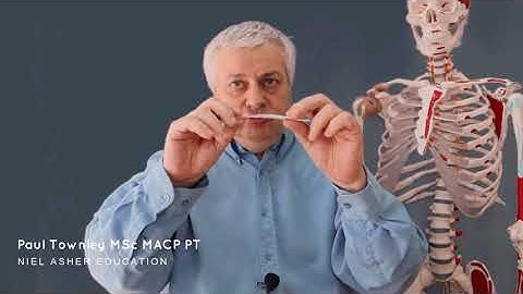 What are Trigger Points? - Sarcomeres and Trigger Point Formation