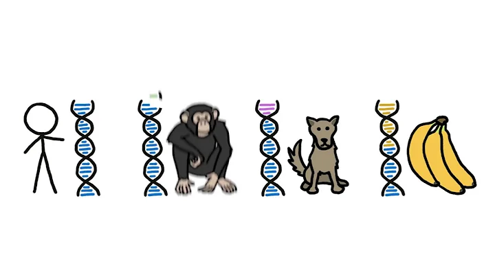 Neil deGrasse Tyson / Richard Dawkins - Human / Chimp DNA Comparison