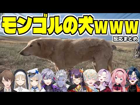 【まとめ】SNSで大バズリした『モンゴルの犬』が気になるライバーたちｗ【ろふまお/ROF-MAO/にじさんじ/切り抜き】