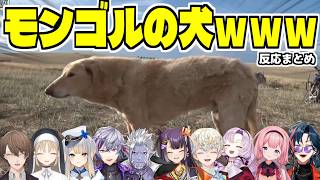 【まとめ】SNSで大バズリした『モンゴルの犬』が気になるライバーたちｗ【ろふまお/ROF-MAO/にじさんじ/切り抜き】