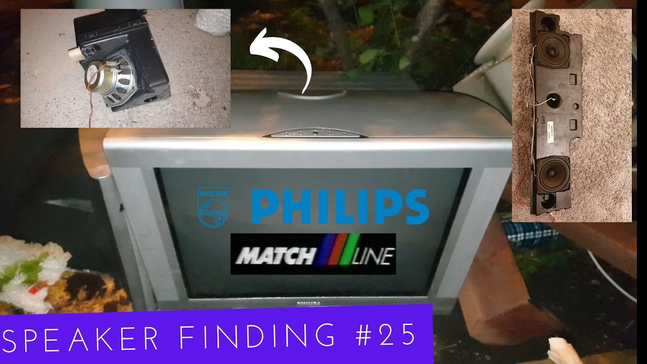 Speaker Finding 25 Huge Boxed Speakers from a Thomson Projection TV