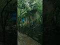 Could this truly be that very gateway to joy and tranquility? #rainwalk #rainoundforsleep #asmrrain
