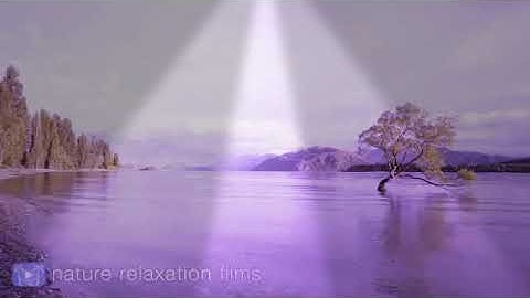 من سورة الأنبياء الشيخ محمد عمران