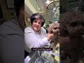 Who loves Poo and his new diamond choker His Grandma is crazy!!!
