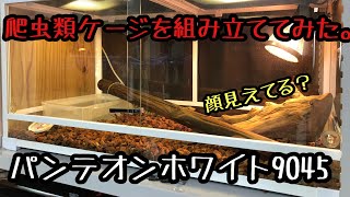 爬虫類ケージを組み立ててみた。(パンテオンホワイト9045)