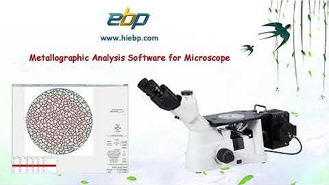 Matallurgical Analysis Software - Automatic Rating - Grain size measurement