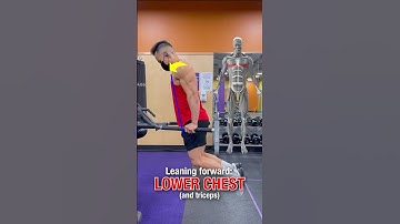 DIPS: Muscles Worked (DO THIS!) #shorts