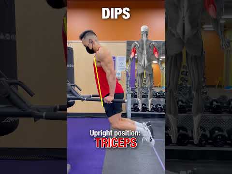 DIPS: Muscles Worked (DO THIS!) #shorts