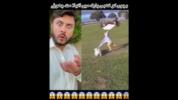OMG eagle attack😱#short #shortsvideo #viralvideos #funny #comedyshorts