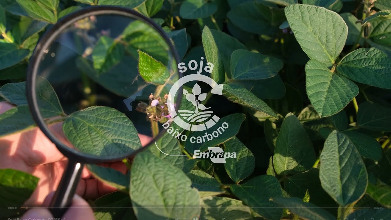 Soja Baixo Carbono | Low Carbon Soybean