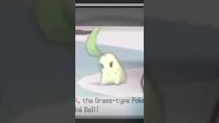 Chikorita!  ##vtuber #popular #shortvideo #pokemon #pkmcomedyvideo #pokemontcg #heartgoldsoulsilver