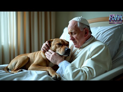 The Final Moment Between the Pope and His Loyal Dog Left the World in  Silence | Amazing Stories - YouTube