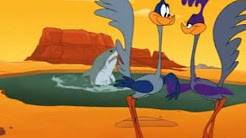 road runner all cartoon collection - YouTube