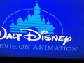 Walt Disney Television Animation Disney Channel V4