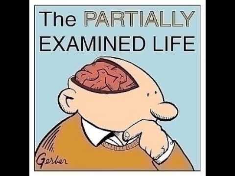 Partially Examined Life #228: Social Construction of Race (Appiah, Mills) (Part Two)