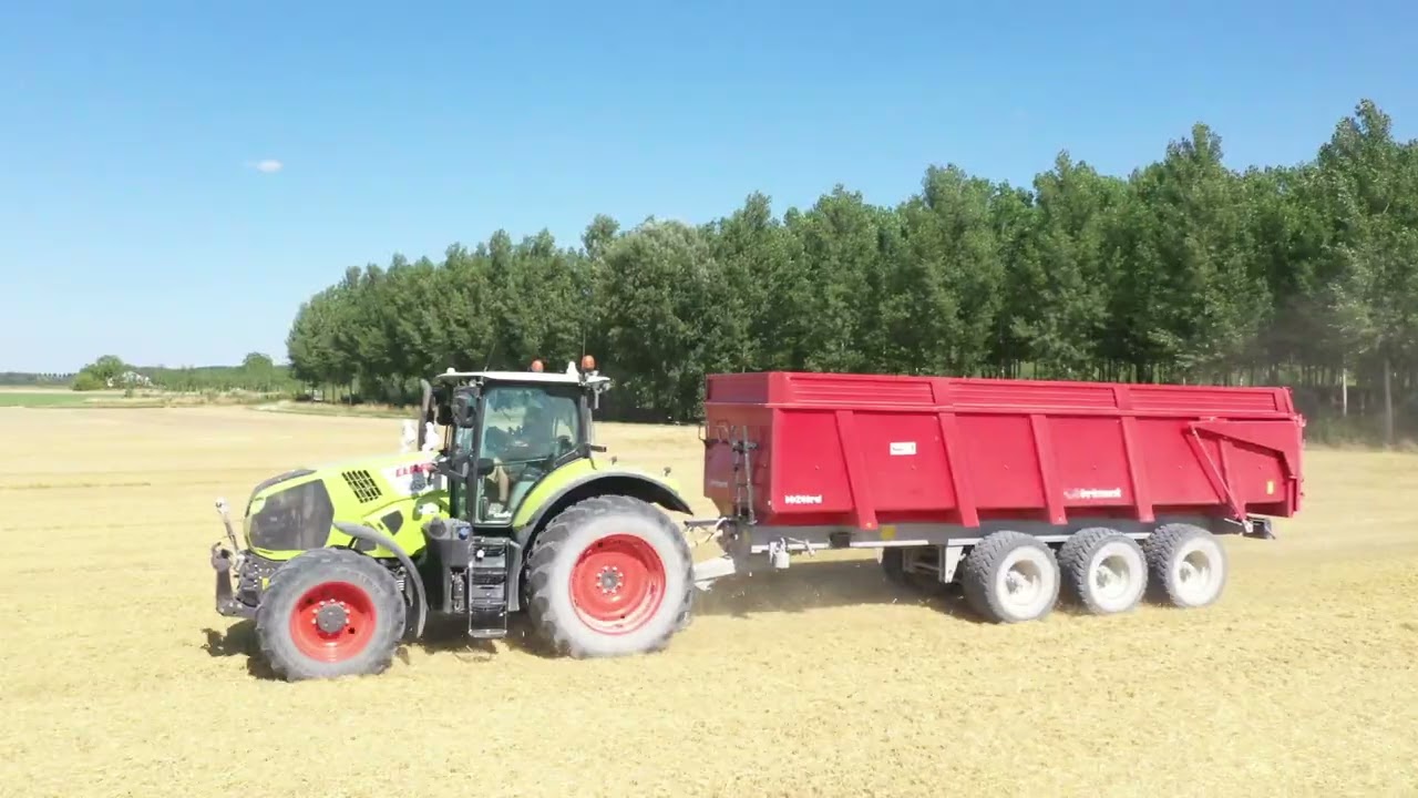 moisson 2025 (orges de printemps)