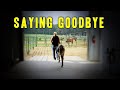 Saying Goodbye - Horse Shelter Heroes S4E31
