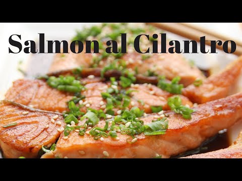 como hacer salmon al cilantro y limon - salmon al cilantro sin horno - salmon sin horno