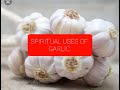 SPIRITUAL USES OF GARLIC.GARLIC TO REMOVE BAD LUCY, PROMOTE YOUR BUSSINES.