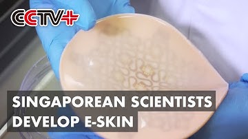 Singaporean Scientists Develop E-Skin Like Real Person