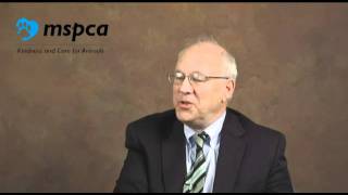 Mspca-Angell President Carter Luke Speaks On Pit Bulls