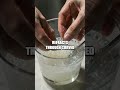 Bubbles and Beyond: The Hidden Science of Everyday Foams