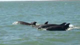 Playas de Huatabampo