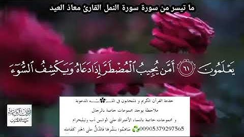 سورة النمل||معاذ العيد||قُلِ الْحَمْدُ لِلَّهِ وَسَلَامٌ عَلَىٰ عِبَادِهِ الَّذِينَ اصْطَفَىٰ