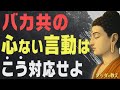 【99％が知らない】愚者から自分を守る「ブッダの最強の対処法」│仏教│名言│老後│シニア│無反応│執着│人生│偉人│人間関係│ストレス