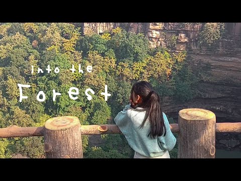 Traveling into the forest / short calm vlog 🍃