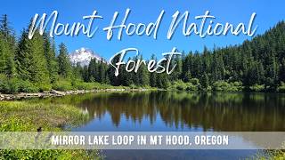 Hiking OREGON : Mirror Lake Loop | Mount Hood National Forest | 4K