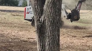 Mulching the Final Vegetation in Seconds